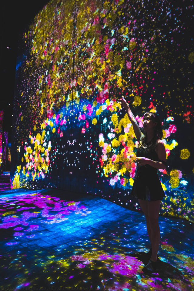 Dive Into a DreamWorld at teamLab SuperNature Macao – Art, Tech & Nature Collide!  Dive Into a DreamWorld at teamLab SuperNature Macao – Art, Tech & Nature Collide!