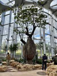 Shanghai Greenhouse Garden