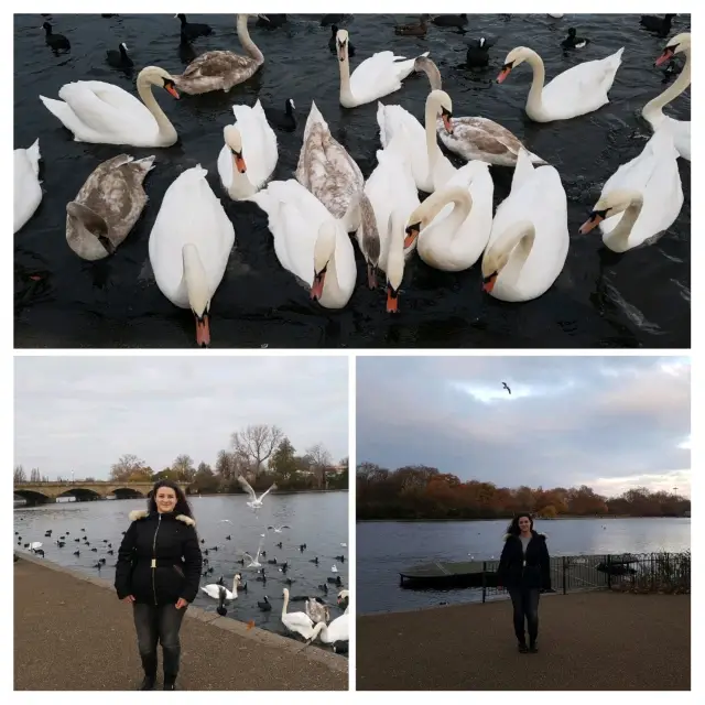 🌳🏰 Discovering the Magic of Kensington Gardens 🇬🇧✨