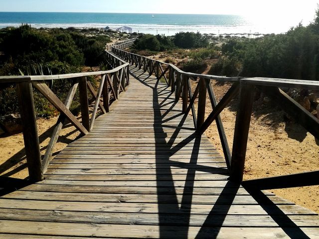 Breathtaking Beauty of Andalusia 🌺🏰