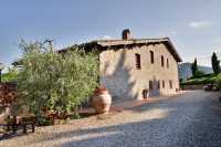 Vineyards and Vistas in Tuscany