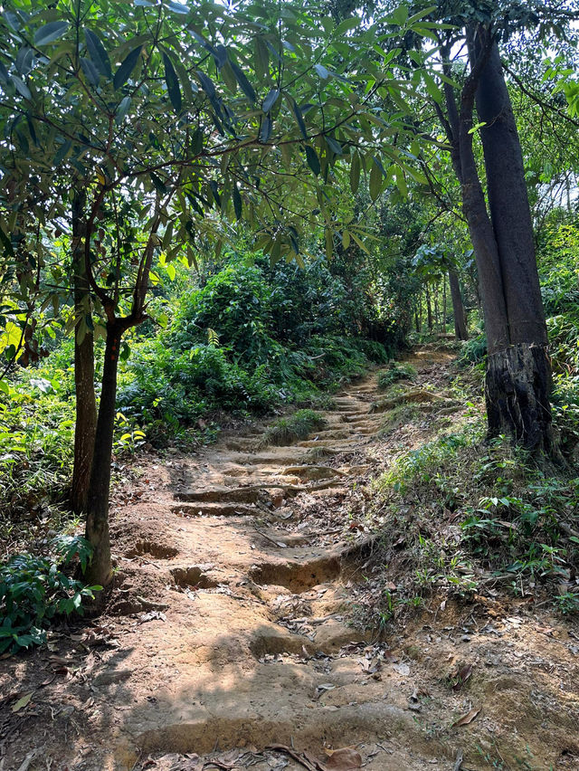 A Peaceful Nature Hike at Melati Hill, Nilai