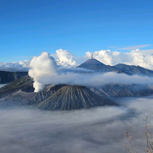 Hiked Through Hell, Found Heaven: Bromo & Ijen Adventure