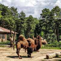 Riga National Zoological Garden 🗺️