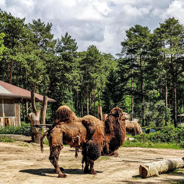Riga National Zoological Garden 🗺️