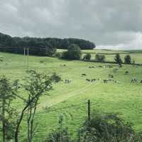 Into the Valley: Scenic Drives and Endless Views