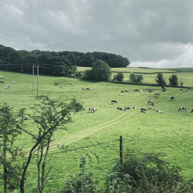 Into the Valley: Scenic Drives and Endless Views
