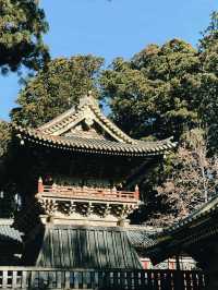 A Perfect Day Trip from Tokyo to Nikko