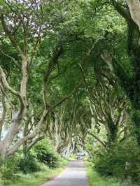 Epic Northern Ireland Road Trip: From Belfast to Iconic Landmarks