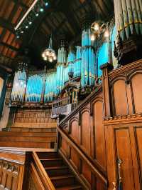 Epic Ireland Road Trip: Nature’s Wonders & A Stop in Derry 🌿🚗