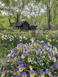 A perfect place for spring walks in Moscow
