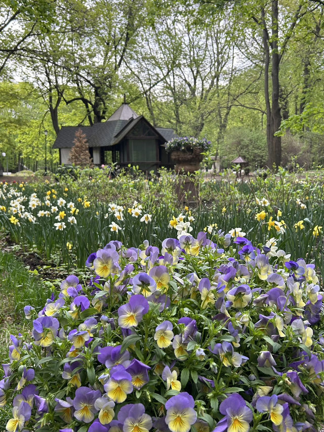 A perfect place for spring walks in Moscow