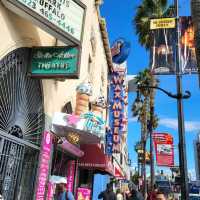 Stroll Among the Stars: The Walk of Fame in LA! ⭐️🎬