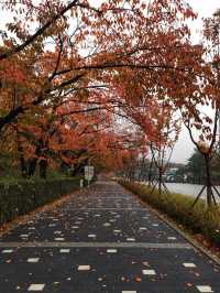 Bongeunsa Temple: A Serene Oasis in Seoul
