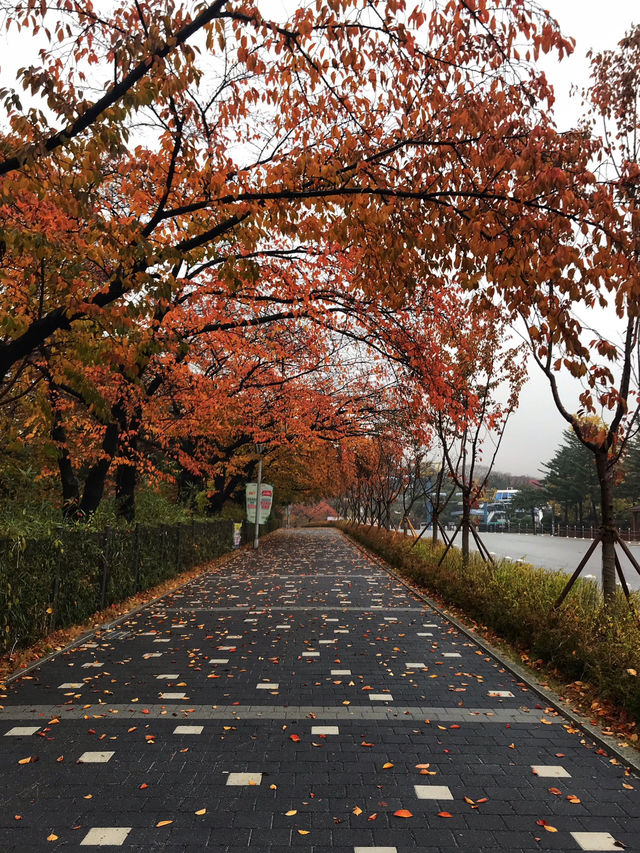 Bongeunsa Temple: A Serene Oasis in Seoul