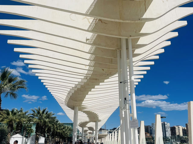 Málaga - What a surprise! Here are my tips. 