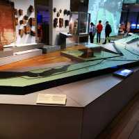 Exploring History and Heritage: A Journey Through Newcastle's Great North Museum