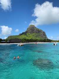 A Perfect Day in Paradise: Dolphins, Snorkelling & Crystal Rock in Mauritius