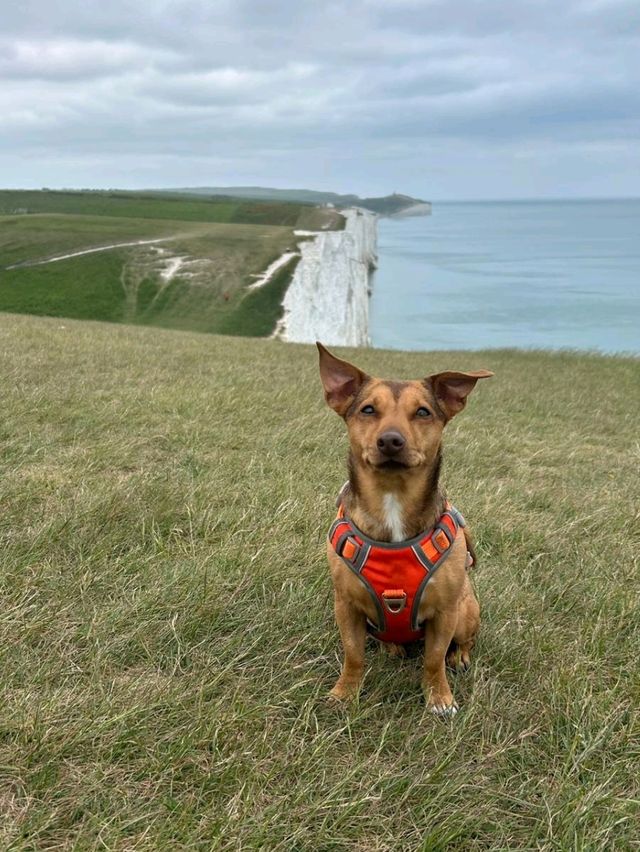 Seven Sisters Hike