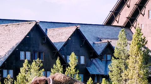 🏕️ Where to Stay in Yellowstone & Grand Teton National Parks 🛏️🌲 — traveler post in Moran