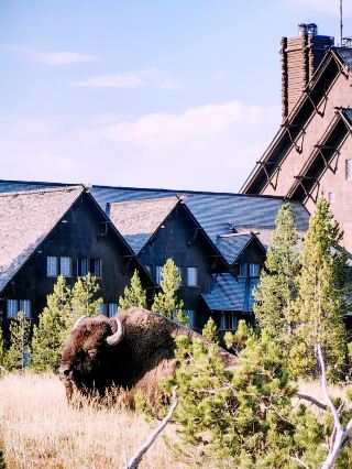 🏕️ Where to Stay in Yellowstone & Grand Teton National Parks 🛏️🌲