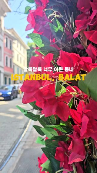 Balat, 이곳이 이스탄불에서 제일 예뻐요