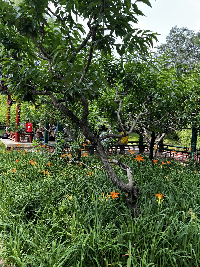 Temple of Earth Park