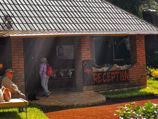 🌺 Trip Moment: Pink Flamingo Boutique Hotel – Where Tanzania Meets Italy