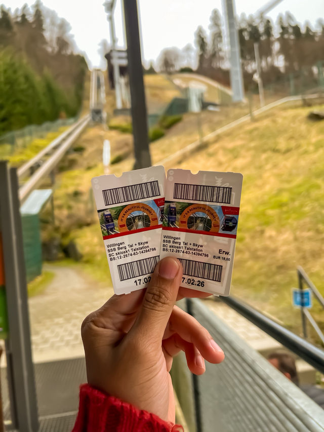 Above the trees, beyond the ordinary — welcome to Skywalk Willingen 🇩🇪🌉🌲