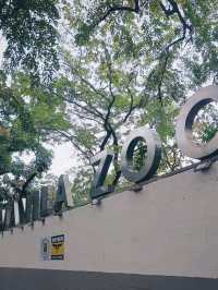 🦁 Urban Wildlife Escape – Manila Zoo, Philippines