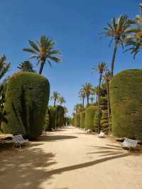 Discovering Cádiz: A Charming Escape on the Spanish Coast