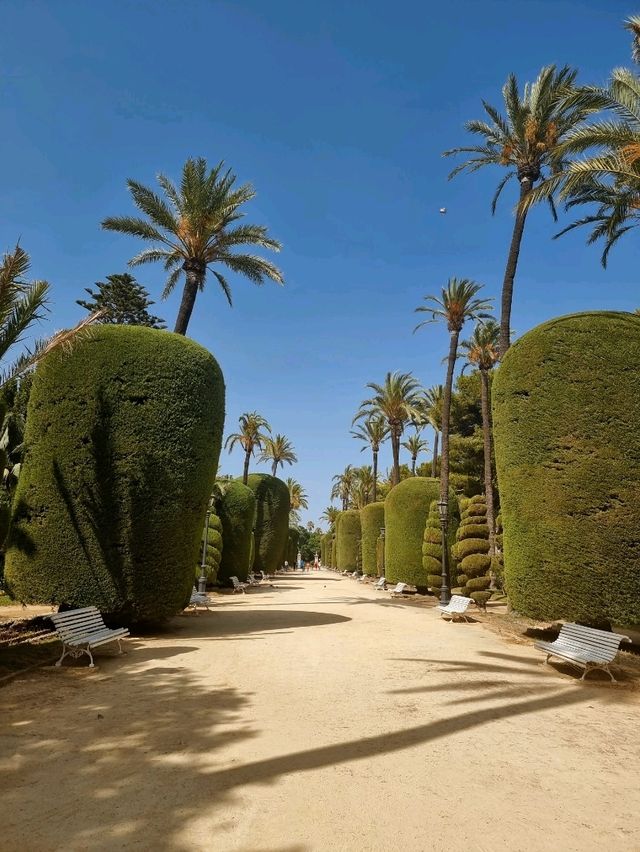 Discovering Cádiz: A Charming Escape on the Spanish Coast