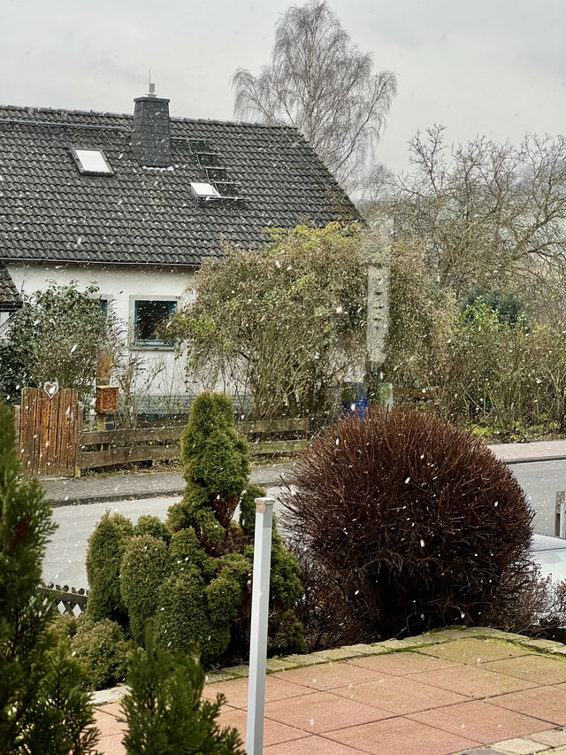 Hidden Beauty in Germany: Welcome to Gemmerich 🇩🇪🌿  Hidden Beauty in Germany: Welcome to Gemmerich 🇩🇪🌿