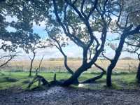 Hengisbury Head Dorset