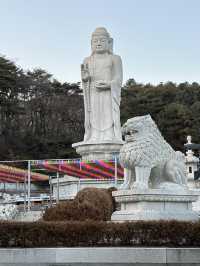 Here’s your cheat sheet for 3 epic days in Daegu Korea