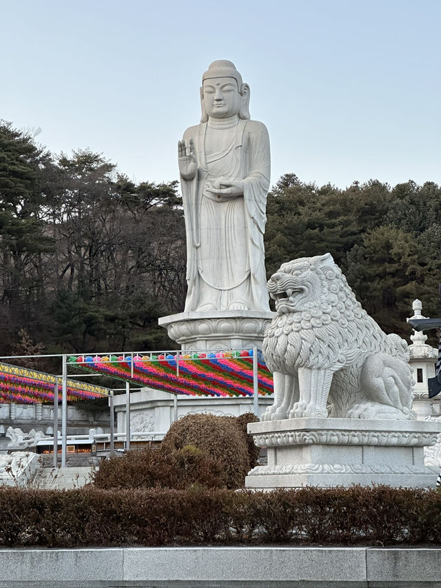 Here’s your cheat sheet for 3 epic days in Daegu Korea