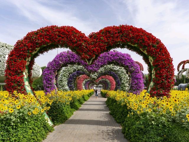 Explore the magic of nature at the Dubai miracle garden!