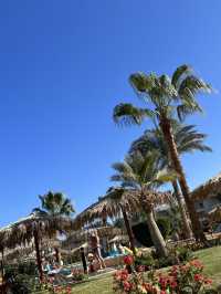 🌅🤩 SHOCKING SECRET TO HEAVENLY HOLIDAYS IN EGYPT! LONG BEACH RESORT HURGHADA 🌊🍹