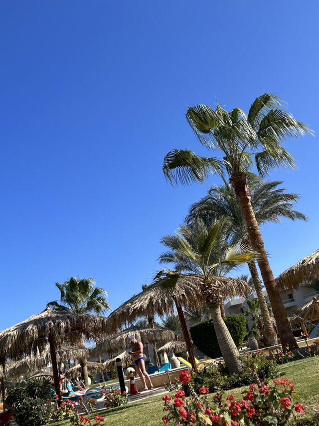 🌅🤩 SHOCKING SECRET TO HEAVENLY HOLIDAYS IN EGYPT! LONG BEACH RESORT HURGHADA 🌊🍹 🌅🤩 SHOCKING SECRET TO HEAVENLY HOLIDAYS IN EGYPT! LONG BEACH RESORT HURGHADA 🌊🍹