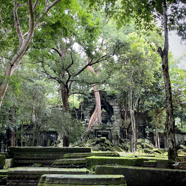 Самостоятельно в поисках сокровищ Ангкора.