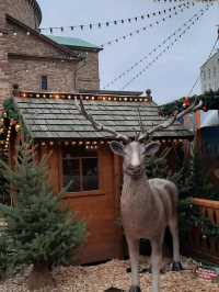 Winter Market Magic🎄