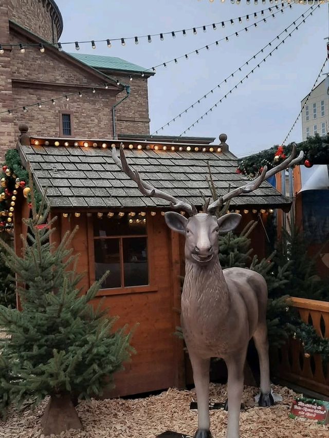 Winter Market Magic🎄 Winter Market Magic🎄