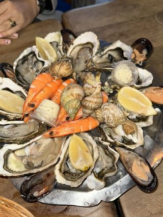 leucate oyster trip from barcelona 🚗🦪🌊