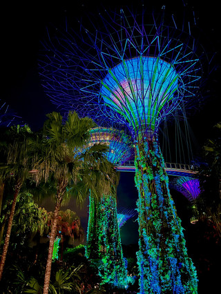AMAZING SINGAPORE: Must-Visit Places.