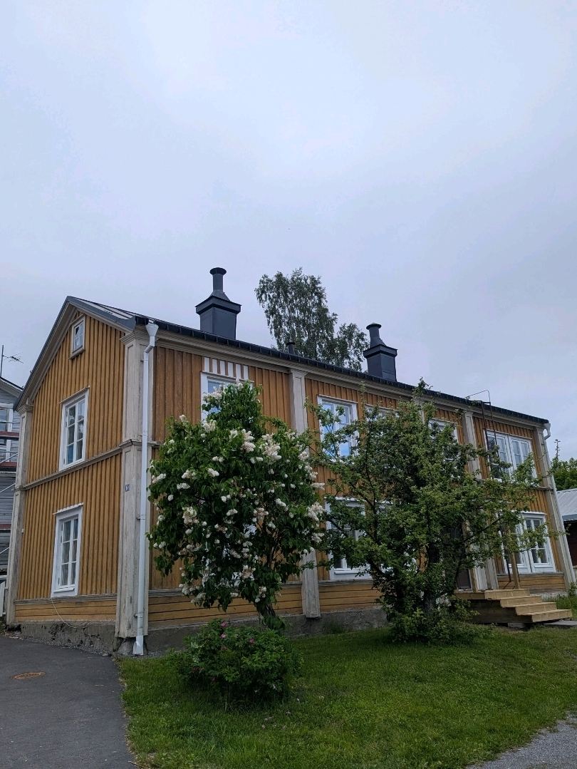 スウェーデンの木造住宅：絶対に見逃せないアイコニックな北欧の魅力