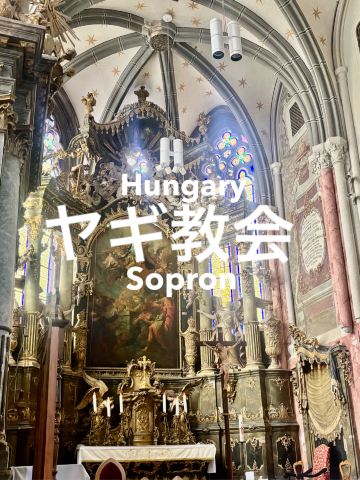 ハンガリー🇭🇺】ショプロンで見つけた「ヤギ教会」🐐⛪️ | Trip.com