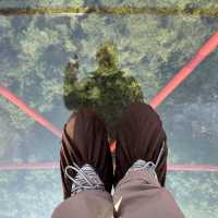 Let me help you to plan your Guilin trip