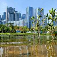 Serene Guiwan 🌿🌊🏙️