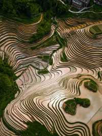 Dragons Backbone Rice Terrace in China 😍