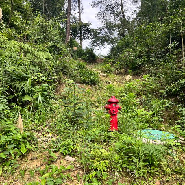 Hiking near Hangzhou 